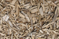 biomass boilers Barcombe